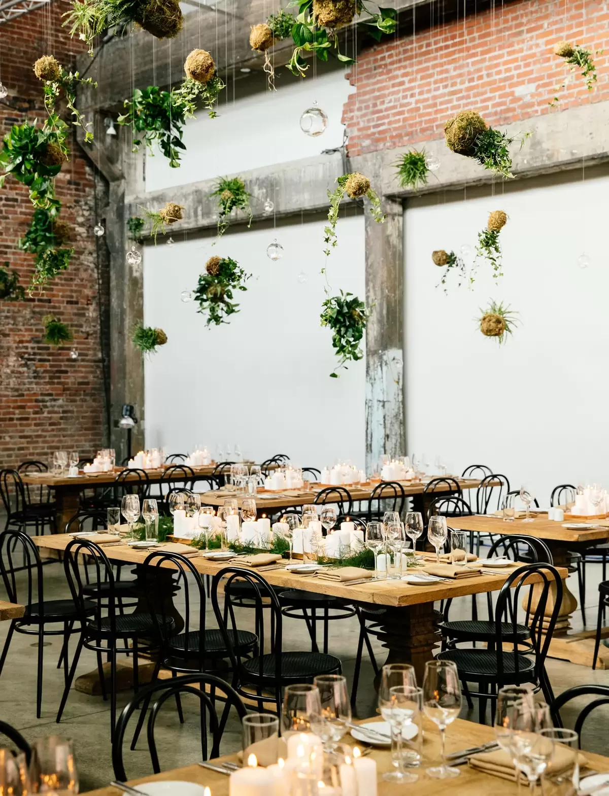 urban wedding reception with hanging plant installation