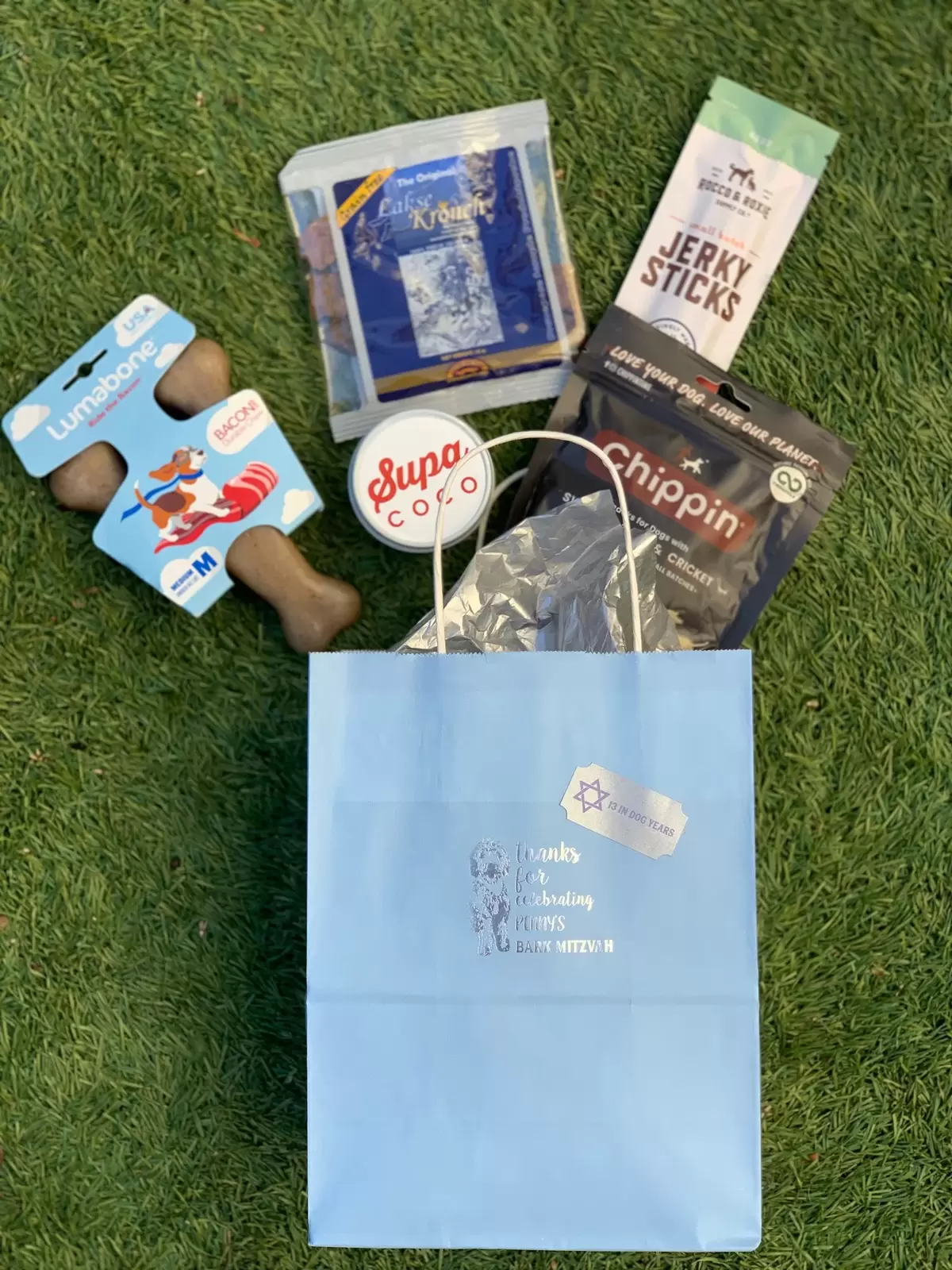 Fab Bark Mitzvah Party Swag Bags for Penny's four legged friends