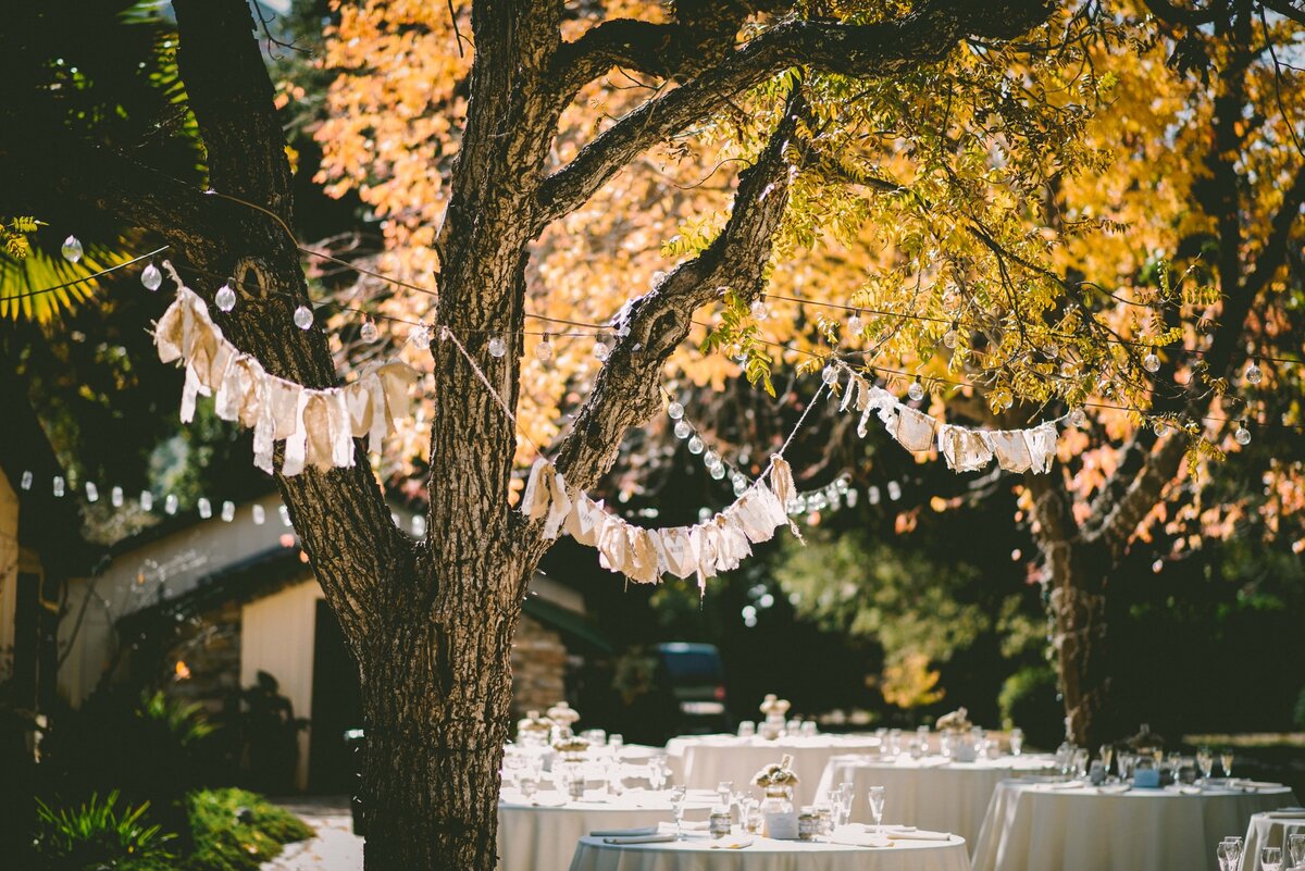 Planning beautiful outdoor outings!
