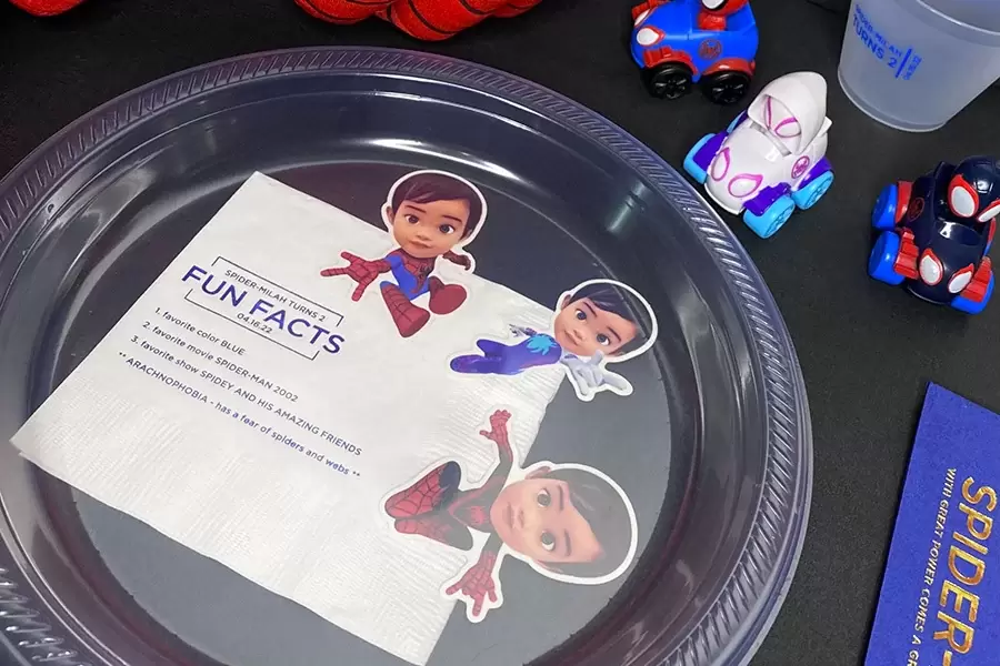 Kid’s Birthday Party Themes