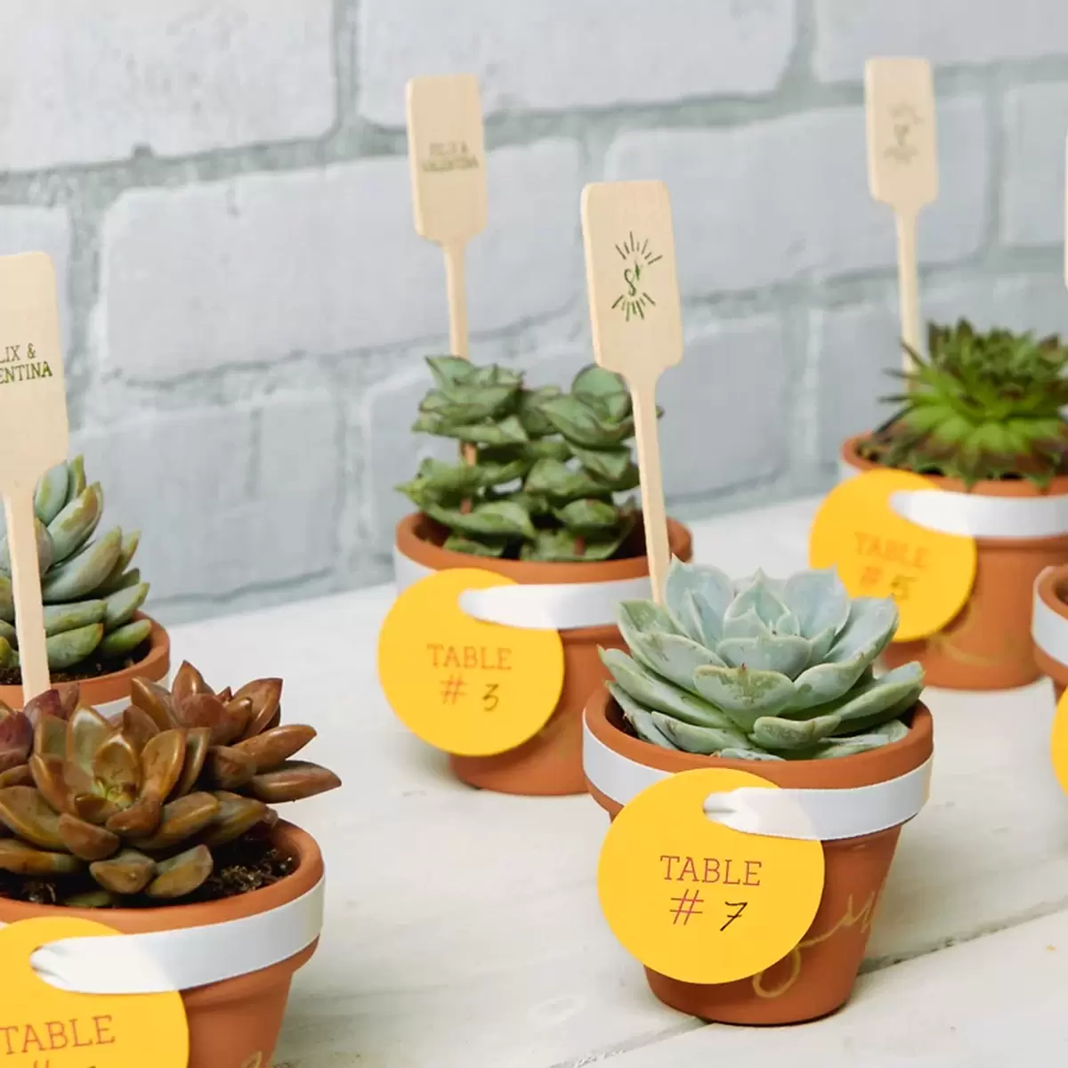simple to make mini succulents as place cards