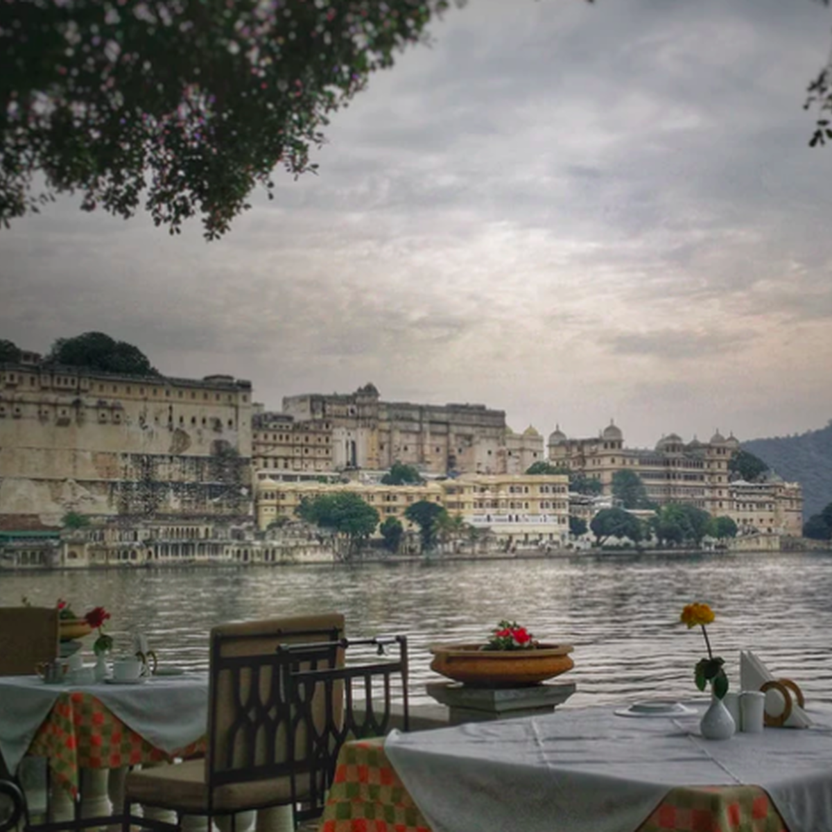 plan your massivemoon for later, after travel restrictions ease